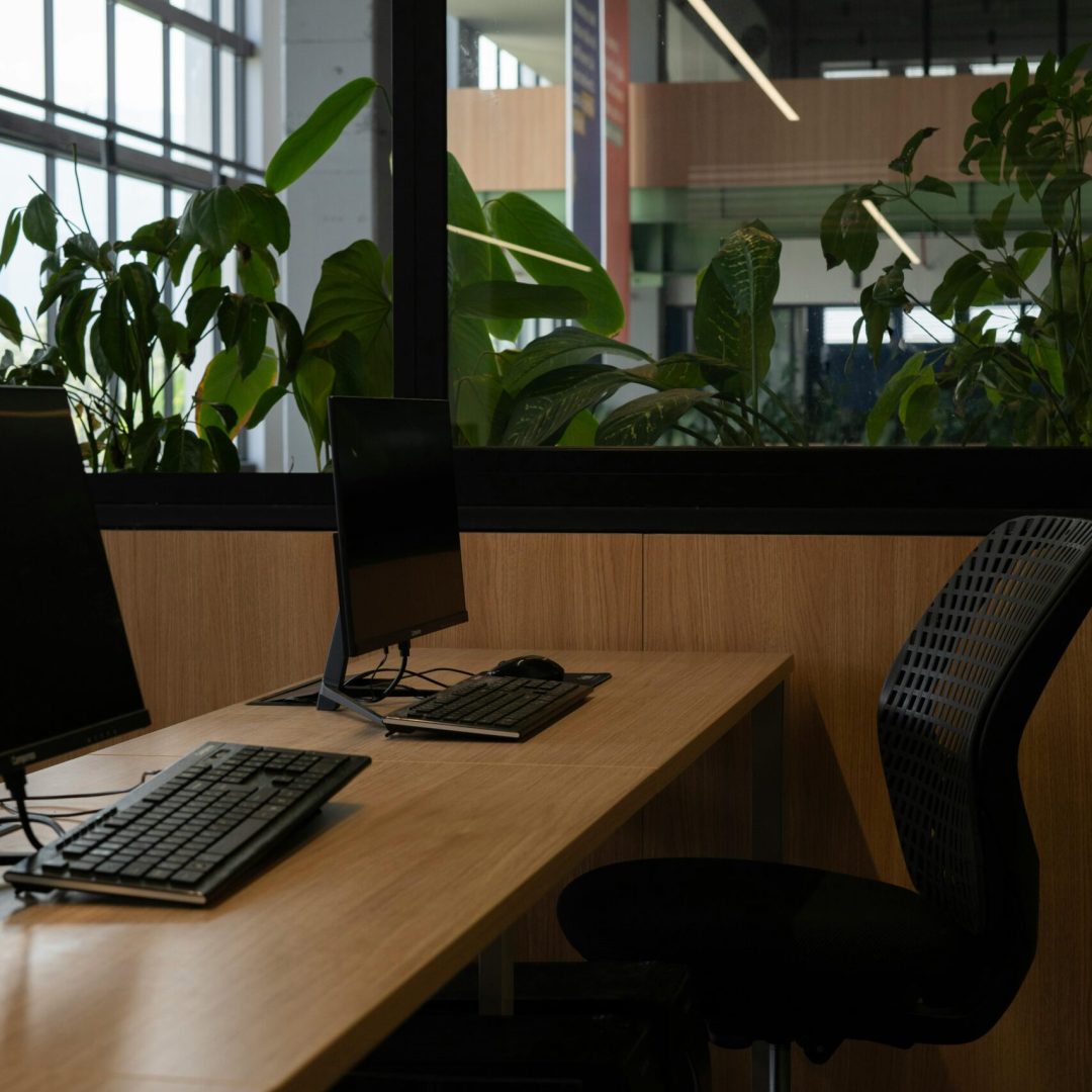 pexels-nicolas-rueda-175965148-26966417